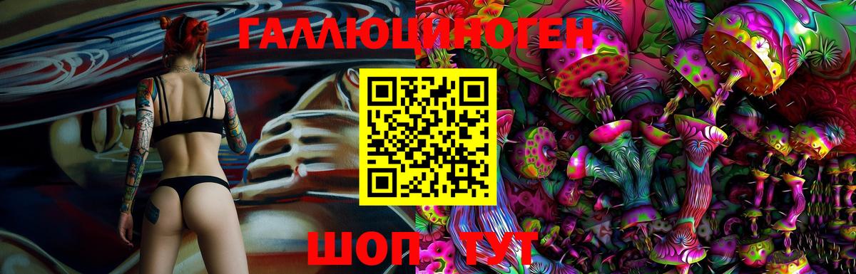 Псилоцибиновые грибы Psilocybine cubensis  Вход с VPN  Верхний Уфалей 